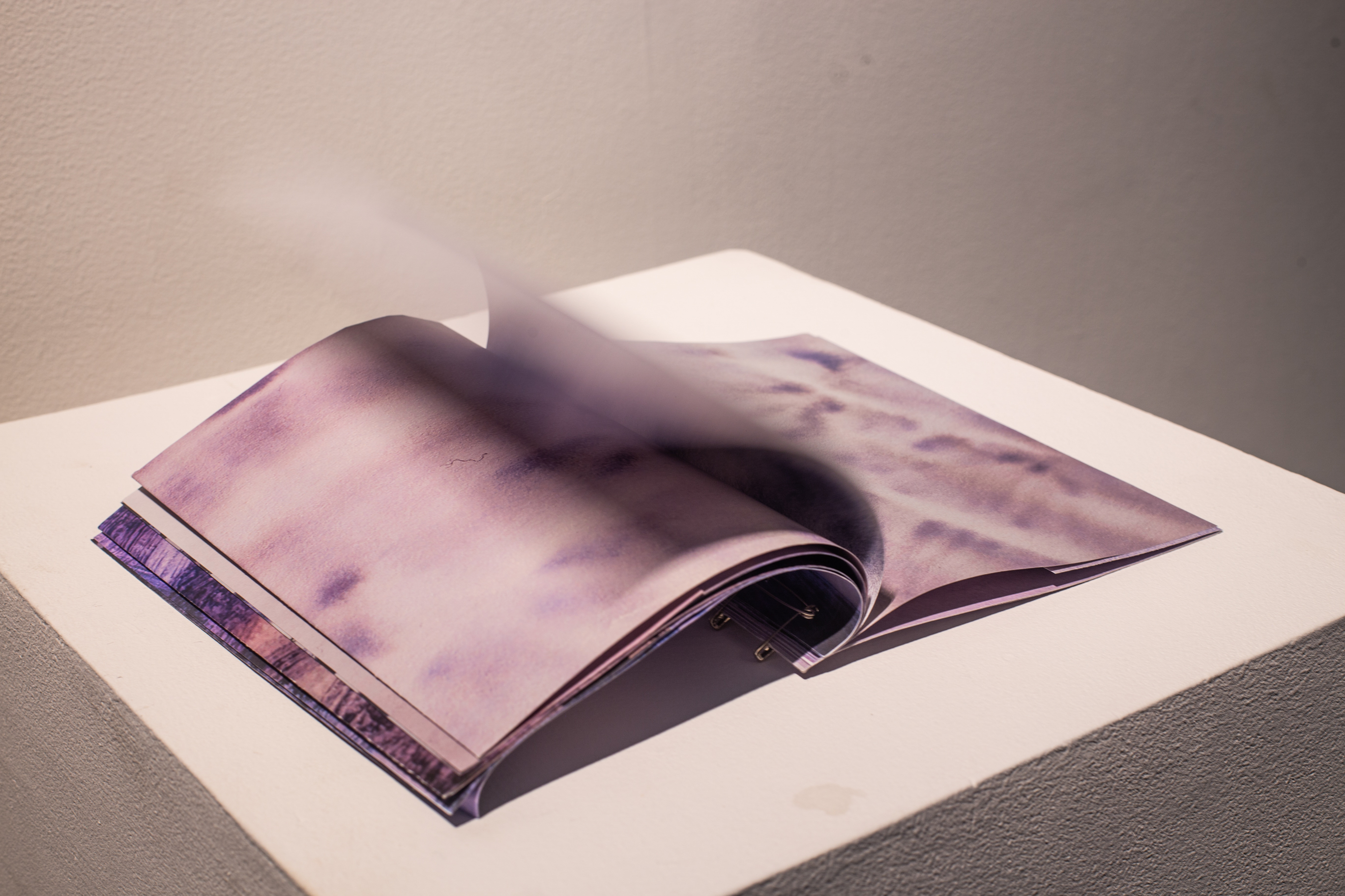 fluttering pages of a book that consists mostly of purple imagery.